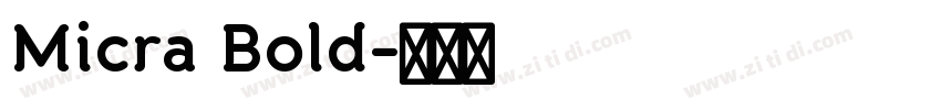 Micra Bold字体转换